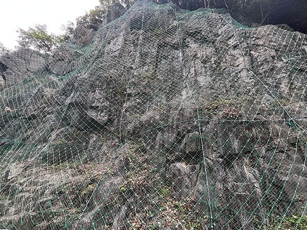 主动边坡防护网01
